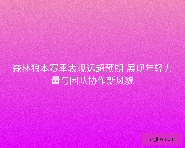 森林狼本赛季表现远超预期 展现年轻力量与团队协作新风貌